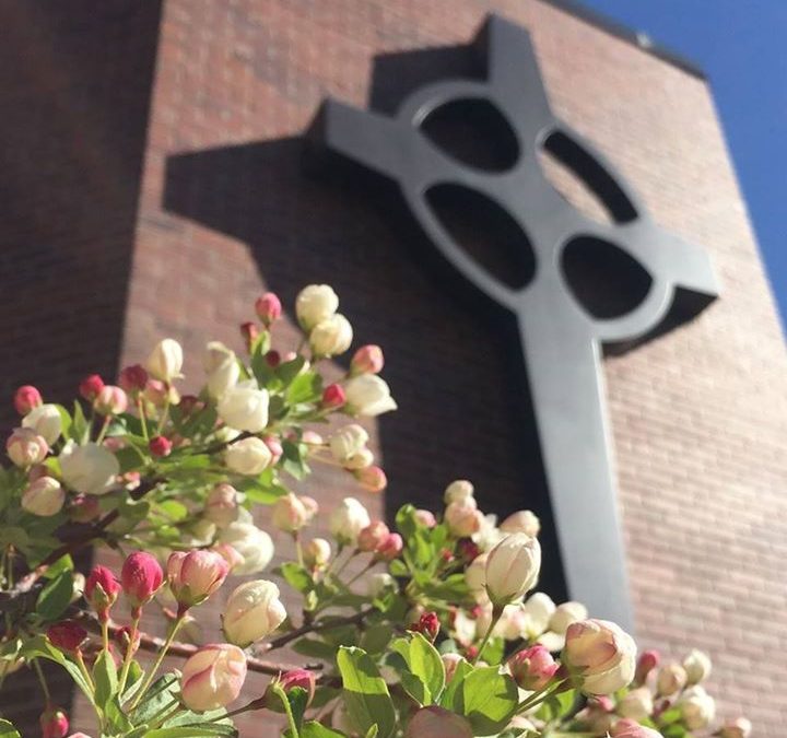 Harmony Presbyterian Church of Fort Collins updated their profile picture.